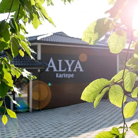 מלון Alya Kartepe 5*