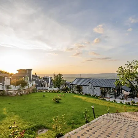 Alya Kartepe