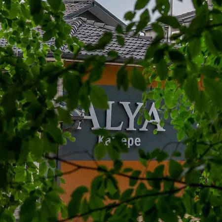 מלון Alya Kartepe 5*