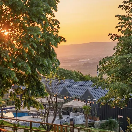 Alya Kartepe