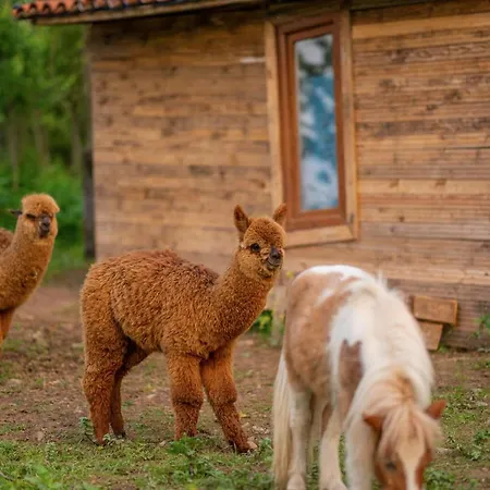 Alya Kartepe Hotel Kocaeli
