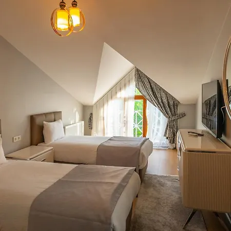Hotel Alya Kartepe 5*