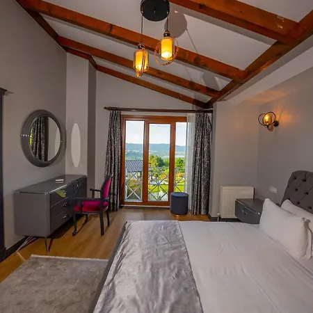 Hotel Alya Kartepe 5*